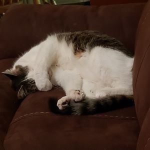 Meet your Posher, Jill